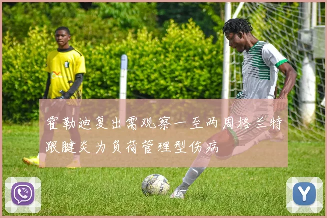 霍勒迪复出需观察一至两周格兰特跟腱炎为负荷管理型伤病