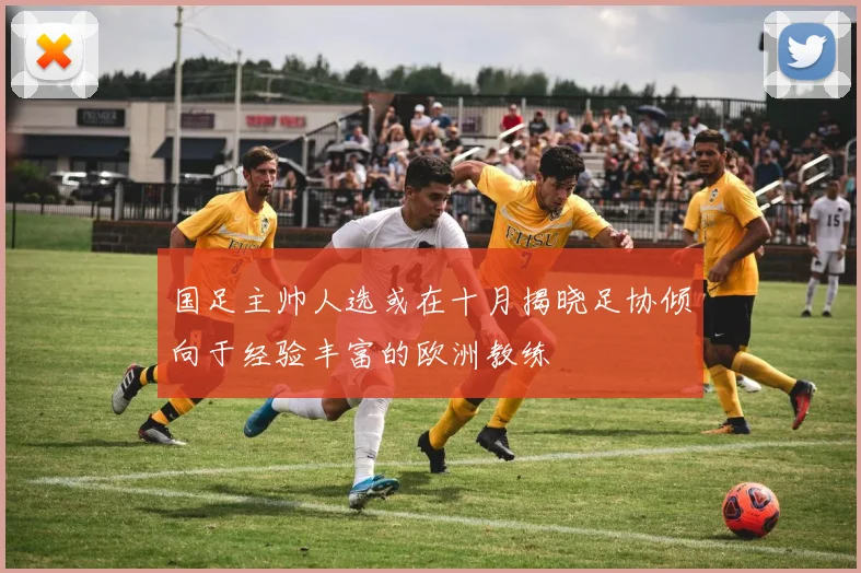国足主帅人选或在十月揭晓足协倾向于经验丰富的欧洲教练